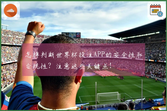 怎样判断世界杯投注APP的安全性和合规性？注意这些关键点！