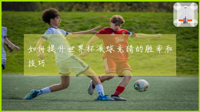 如何提升世界杯滚球竞猜的胜率和技巧