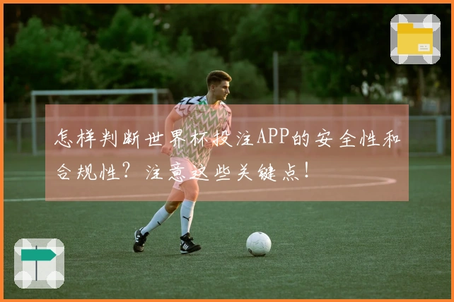怎样判断世界杯投注APP的安全性和合规性?注意这些关键点!