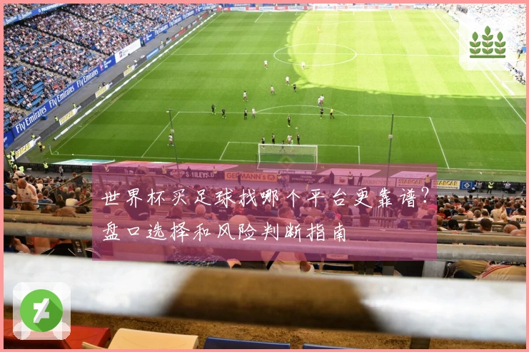 世界杯买足球找哪个平台更靠谱？盘口选择和风险判断指南